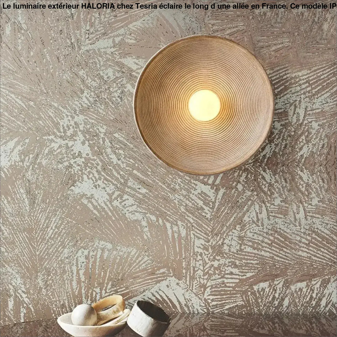 Luminaire exterieur haloria avec applique murale circulaire en rotin tressé diffusant une lumière chaude le long dune allée