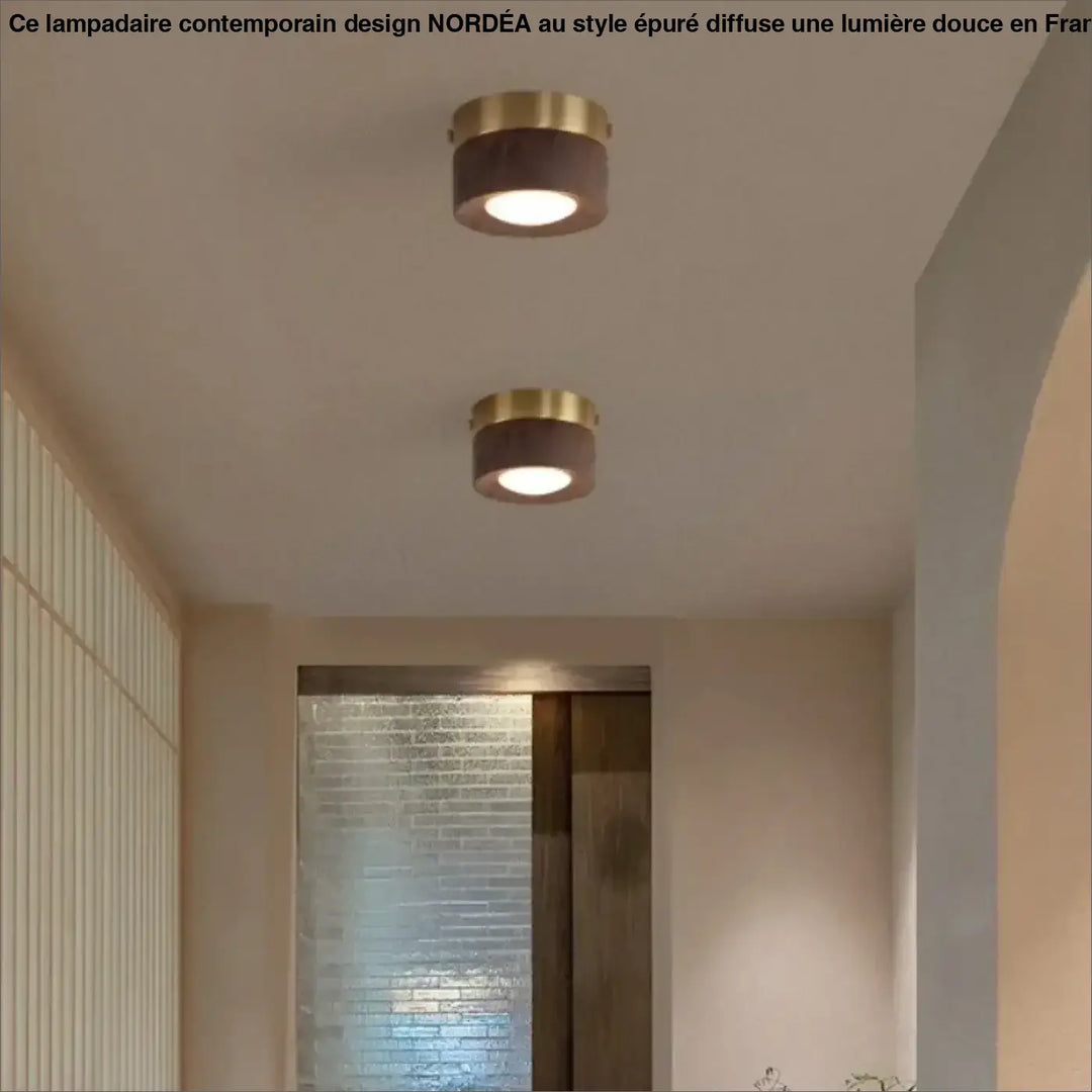 Luminaire plafonnier ulori avec anneaux en finition laiton doré et centres en bois naturel émettant une lumière chaleureuse