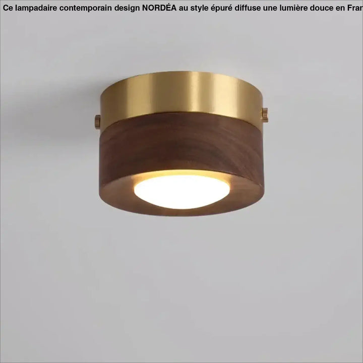 Luminaire plafonnier ulori avec finition laiton doré et base en bois naturel émettant une lumière blanche douce