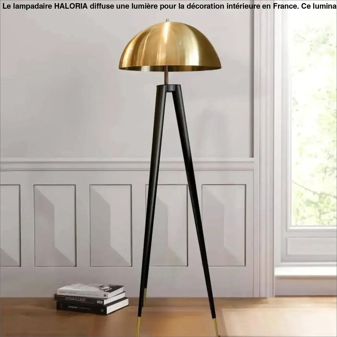 Lampadaire De Salon Sur Pied En Aluminium Noir Et Bronze