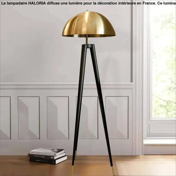 Lampadaire De Salon Sur Pied En Aluminium Noir Et Bronze