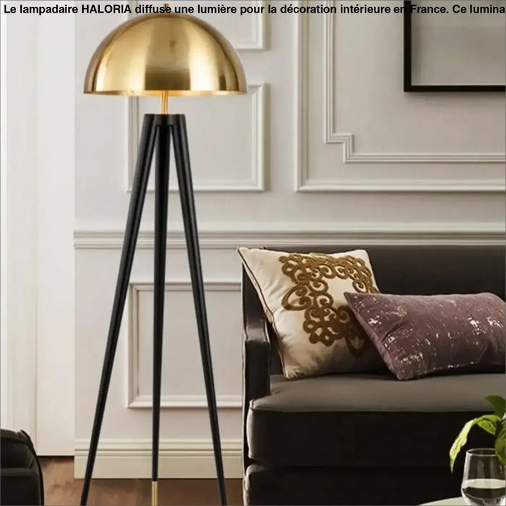 Lampadaire De Salon Sur Pied En Aluminium Noir Et Bronze