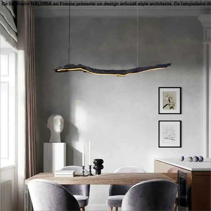 Suspension luminaire led sculpturale ligne organique noir