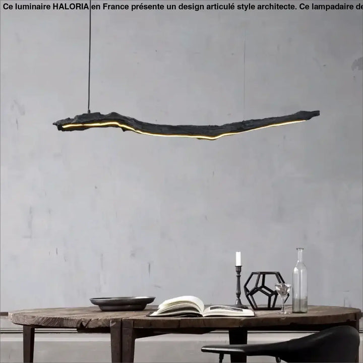 Suspension luminaire led sculpturale ligne organique noir