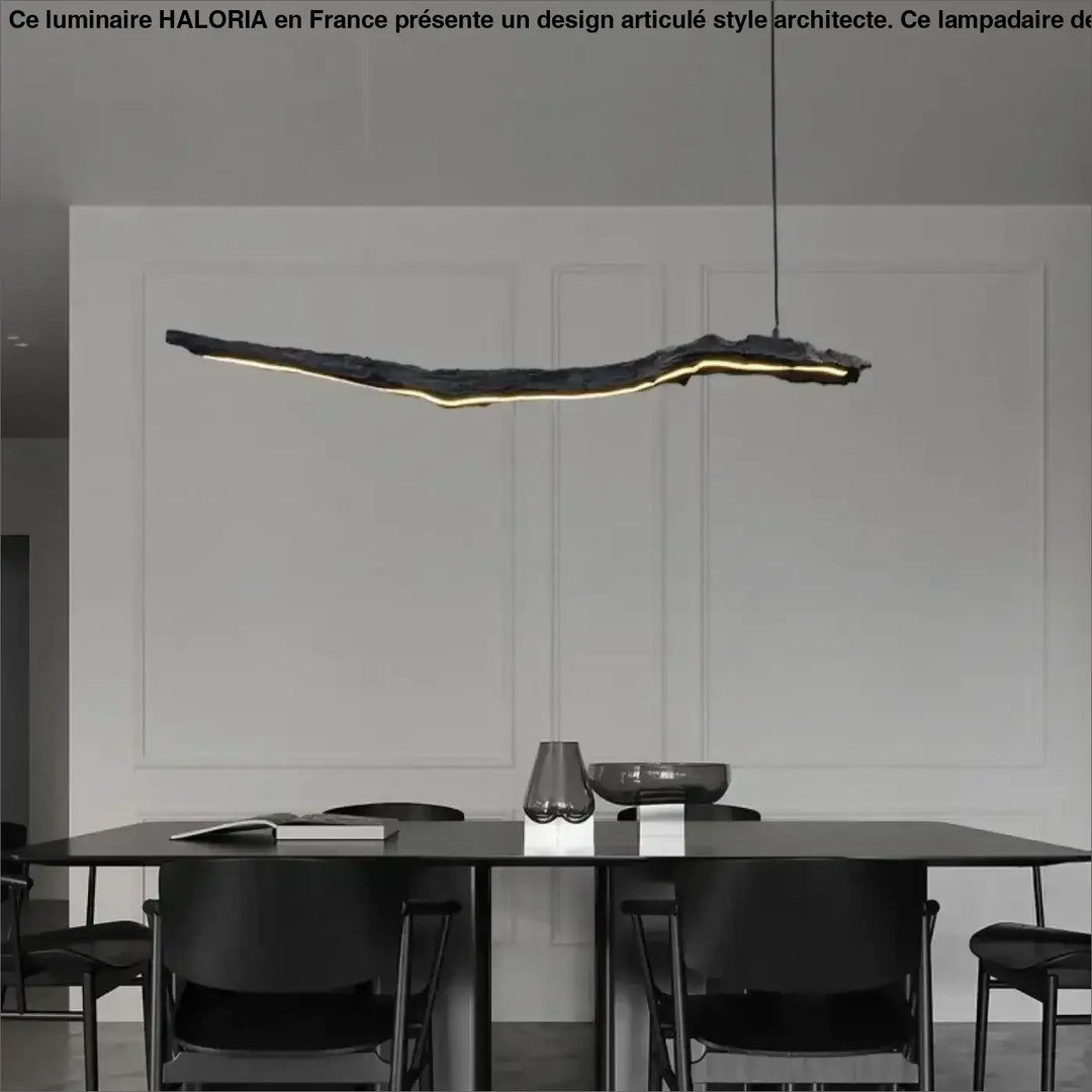 Suspension luminaire led sculpturale ligne organique noir