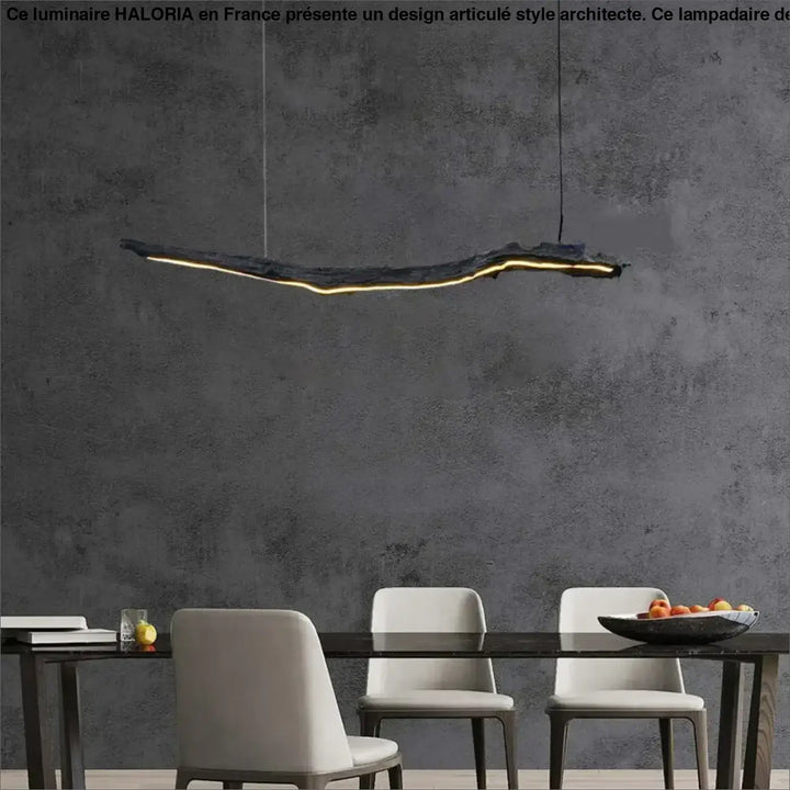 Suspension luminaire led sculpturale ligne organique noir