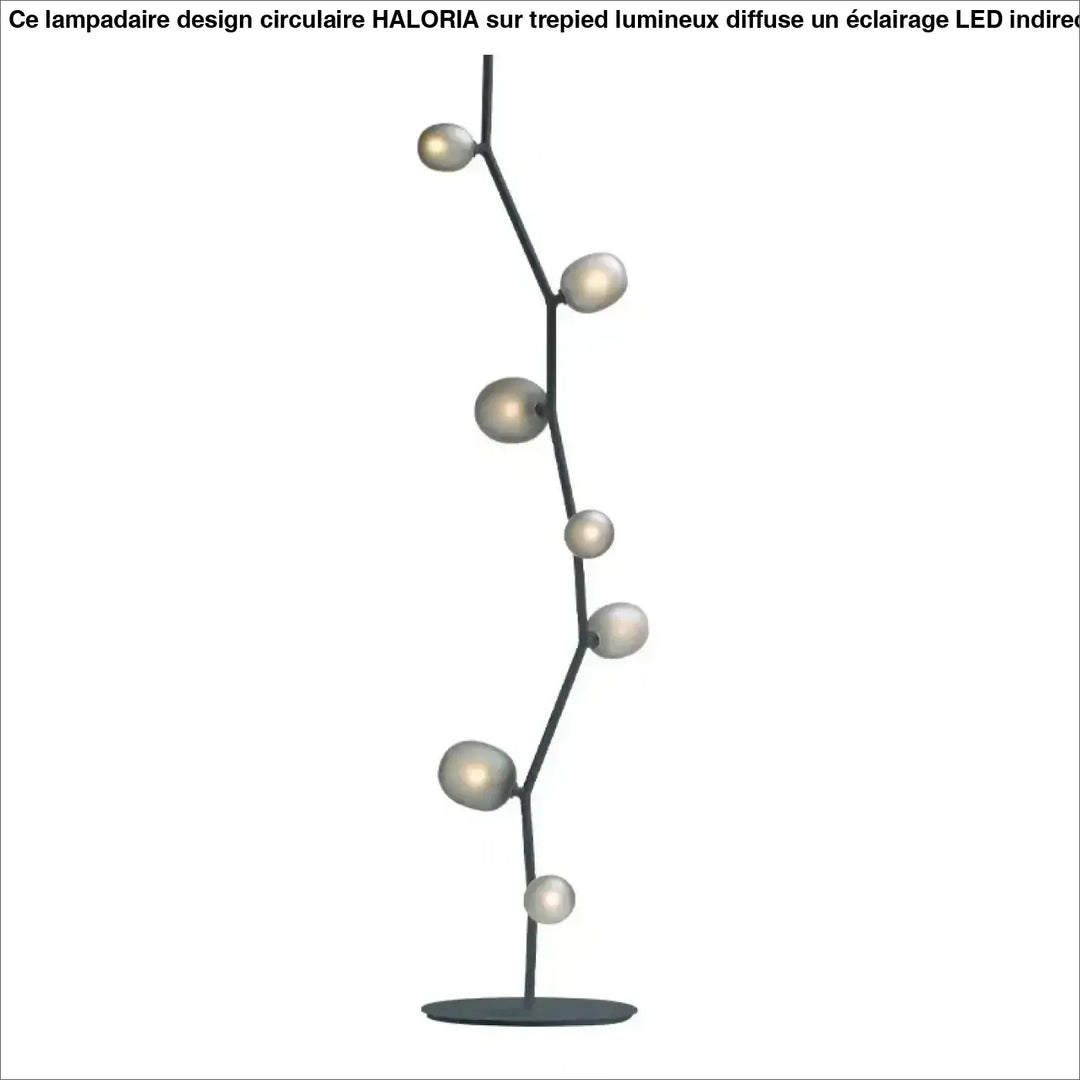Lampadaire décoratif moderne en métal et globes en verre élégant
