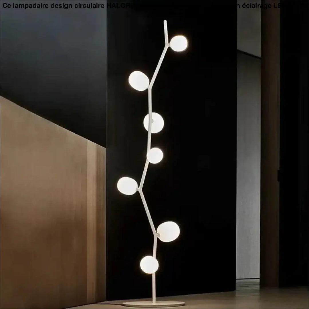 Lampadaire décoratif moderne en métal et globes en verre élégant