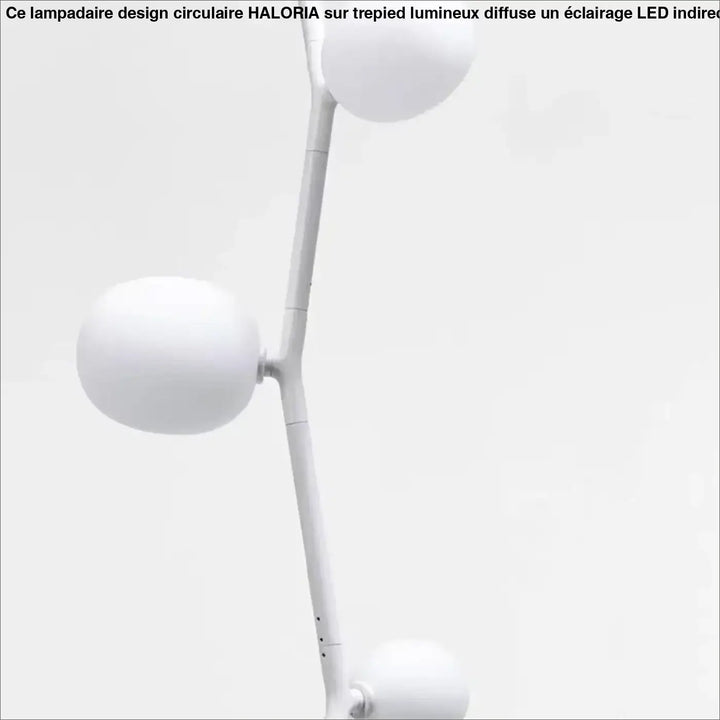 Lampadaire décoratif moderne en métal et globes en verre élégant