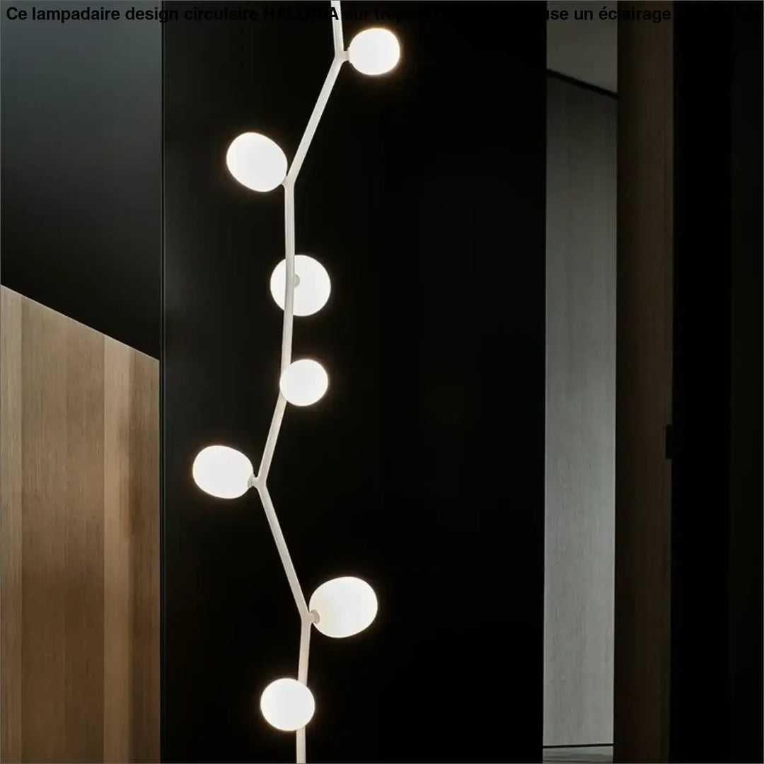 Lampadaire décoratif moderne en métal et globes en verre élégant