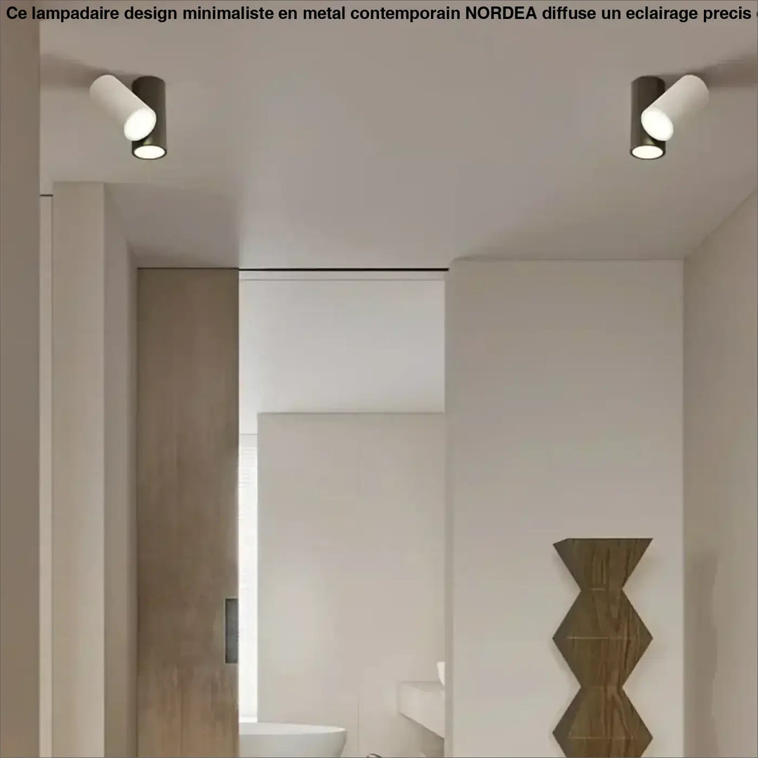 Luminaire plafonnier design minimaliste noir et blanc