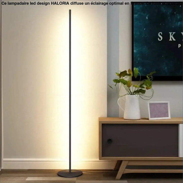 Lampadaire LED Design au Style Tube Élancé Noir