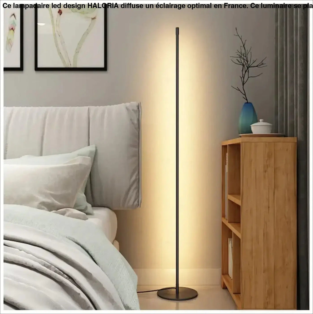 Lampadaire LED Design au Style Tube Élancé Noir