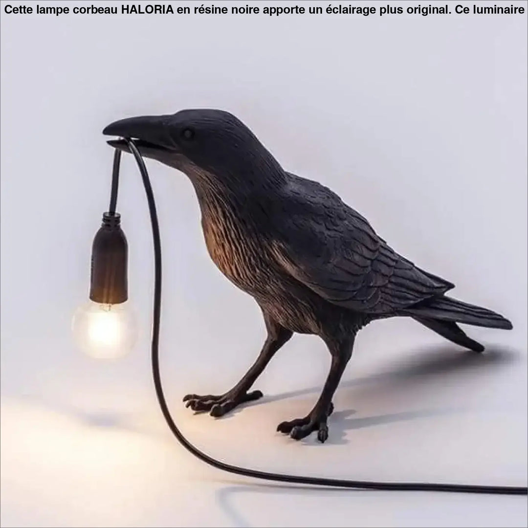 Lampe Corbeau Originale En Rotin Ronde Noir Blanc Gold