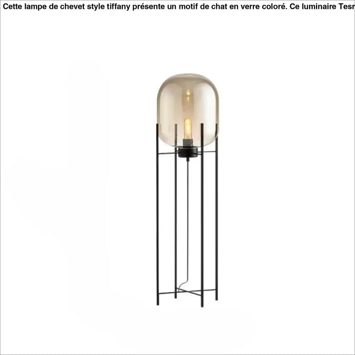 Lampadaire vito avec cadre en métal noir et globe en verre ambre translucide pour un effet abat-jour ambre élégant