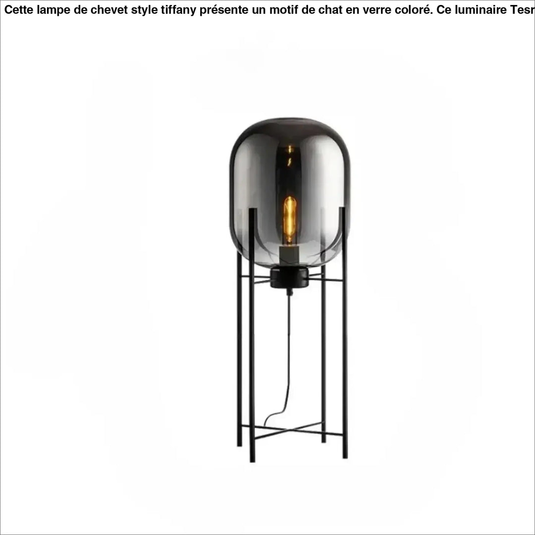 Lampadaire vito noir en verre avec une ampoule à filament visible et effet abat-jour ambre pour espace applicable moderne