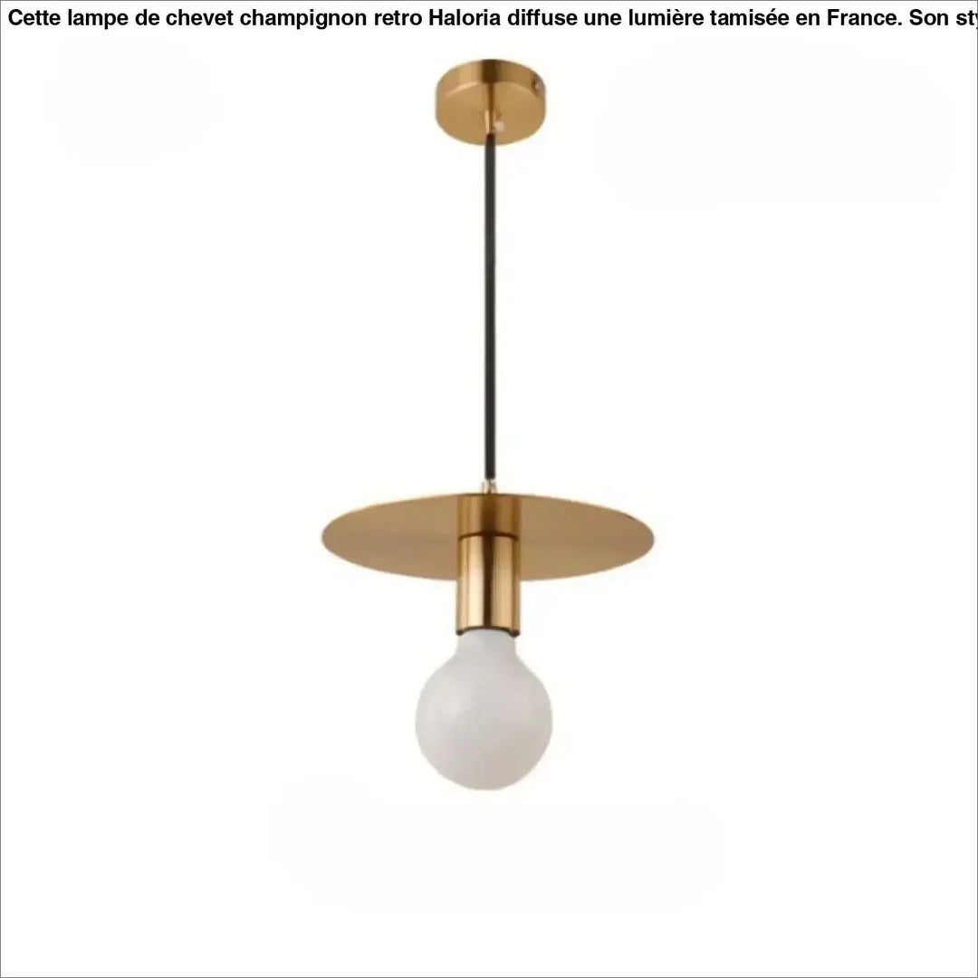 Suspension luminaire uranus en laiton minimaliste avec ampoule en verre dépoli et cordon noir pour lampes suspendues