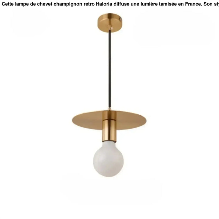 Suspension luminaire uranus en laiton minimaliste avec ampoule en verre dépoli et cordon noir pour lampes suspendues