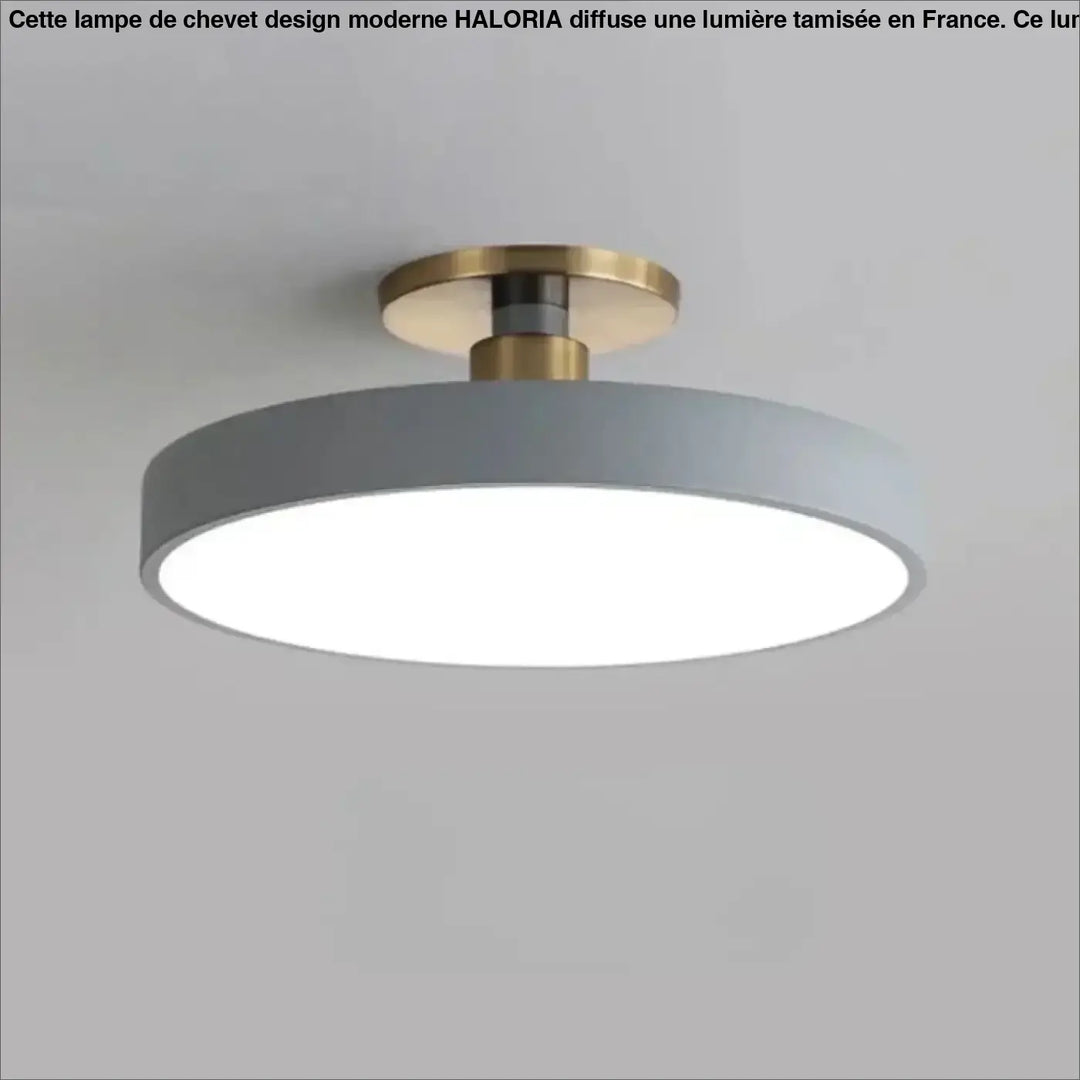 Luminaire plafonnier bisco avec lumière blanche, design moderne gris et base de montage finition laiton