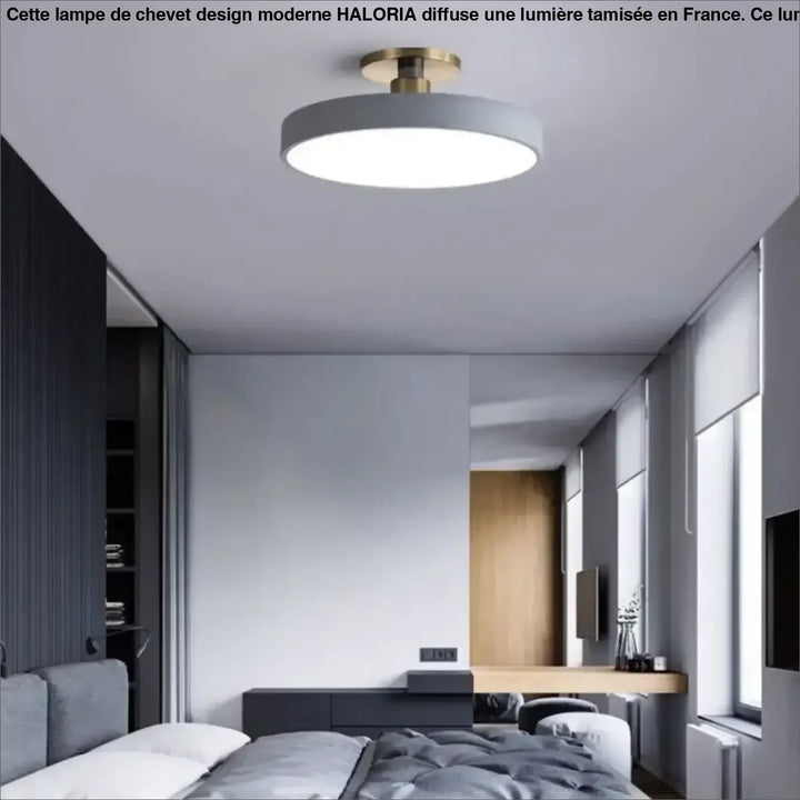 Modern round ceiling light bisco with matte gray shade and polished brass base offering lumière blanche quality