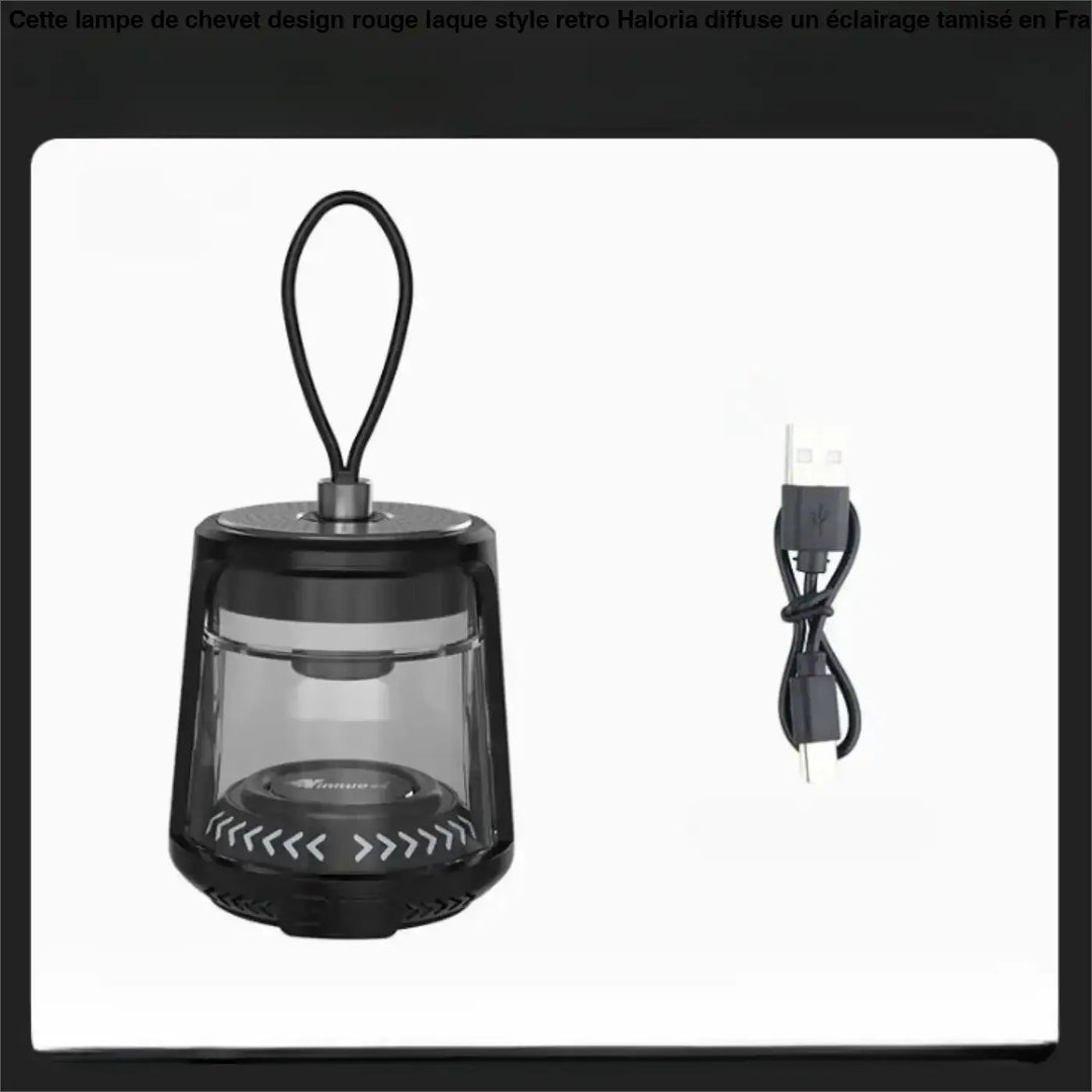 Luminaire extérieur vago lanterne led portable noire avec panneau avant transparent et poignée de transport design moderne