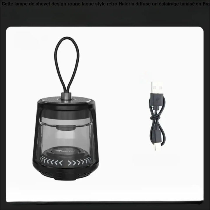 Luminaire extérieur vago lanterne led portable noire avec panneau avant transparent et poignée de transport design moderne