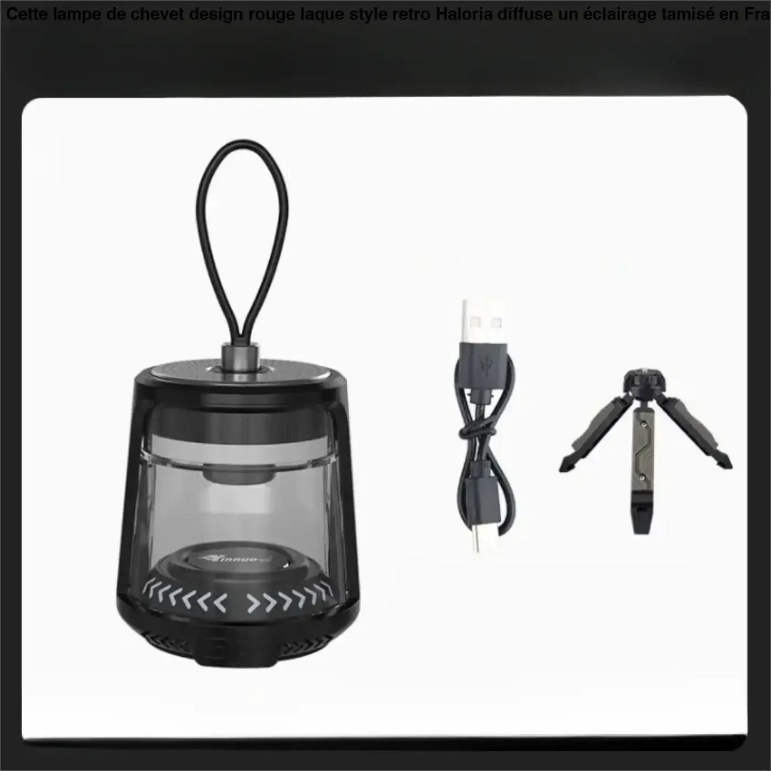 Lampe luminaire extérieur vagoplein design moderne avec lanterne led portable noire et panneau avant transparent