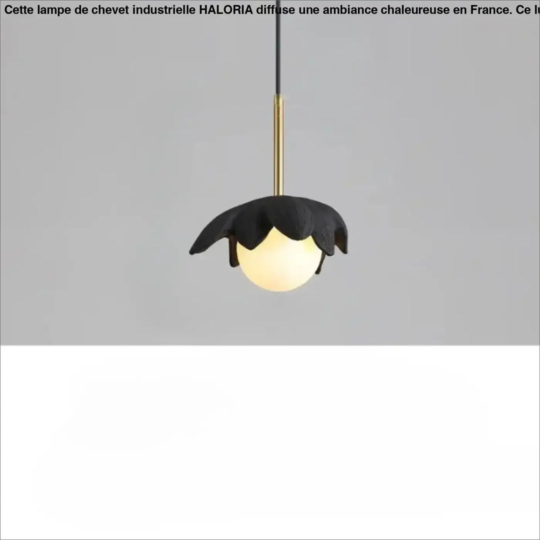 Suspension luminaire kalyx en forme de fleur noire avec tige en laiton et globe en verre dépoli
