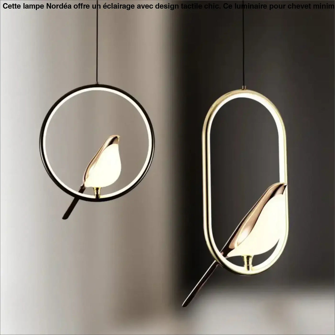 Suspension luminaire fody avec halo lumineux en métal, design minimaliste d oiseaux éclairés dans cadres ovales et circulaires