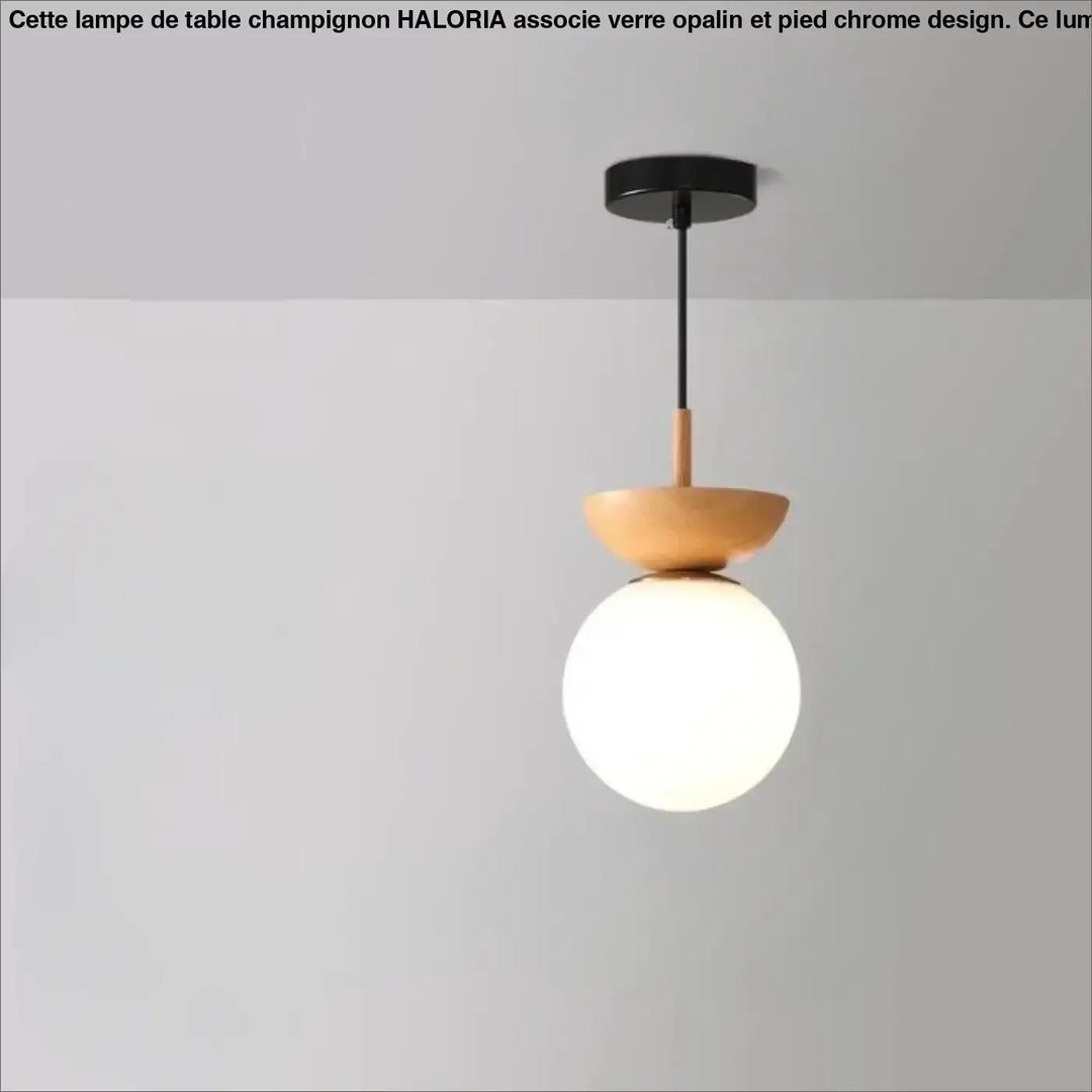 Suspension luminaire sinoa style scandinave avec verre opale globe, support noir mat et accent bois chaleureux