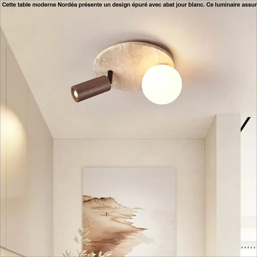 Luminaire plafonnier medier avec base en pierre terre cuite et plafonnier spot orientable en verre opalin design minimaliste