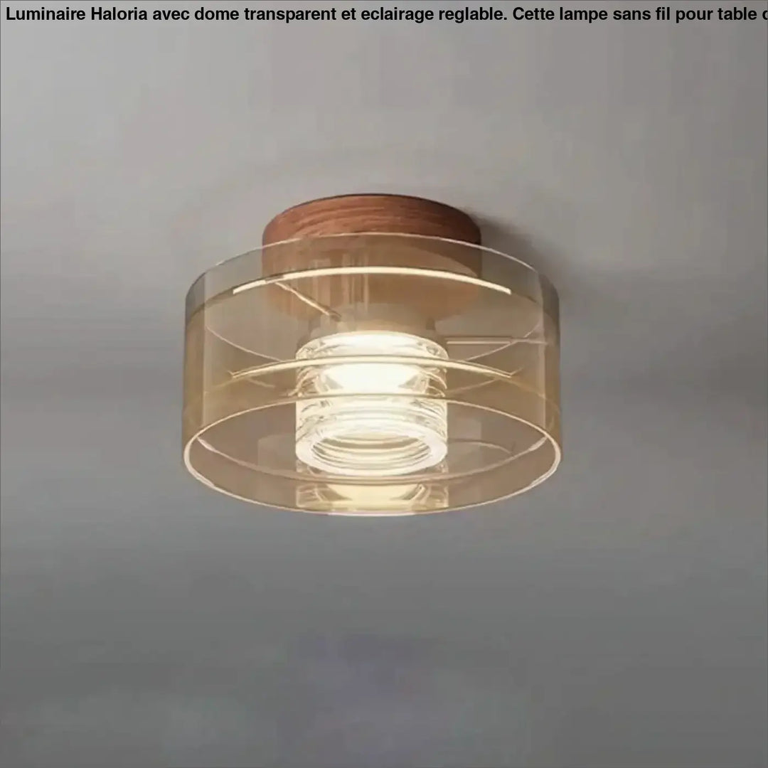 Luminaire plafonnier albeo moderne avec base en bois chaud et anneaux en verre clair flush mount