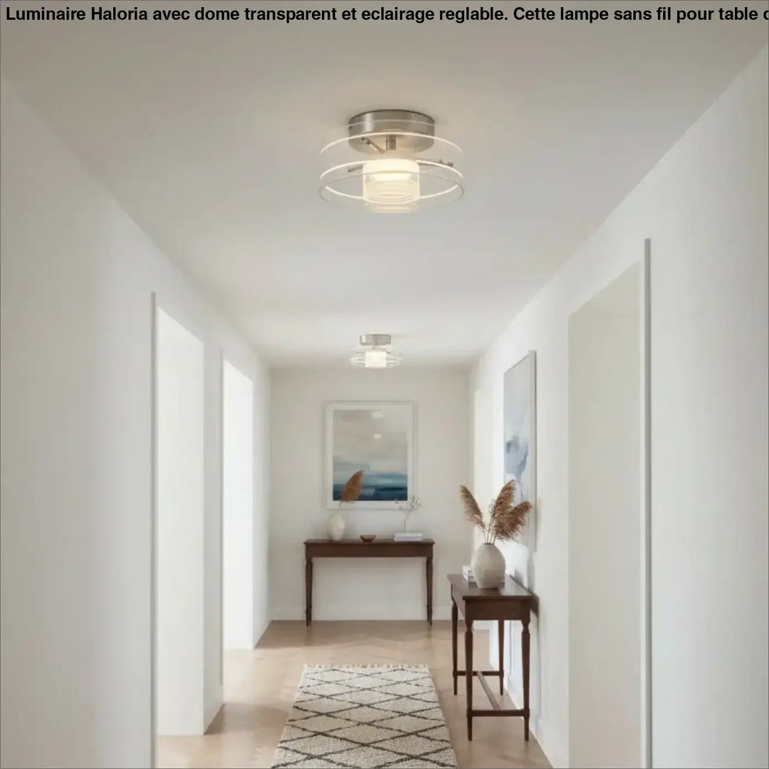 Luminaire plafonnier albeo en nickel brossé avec anneaux circulaires concentriques et diffuseur en verre dépoli