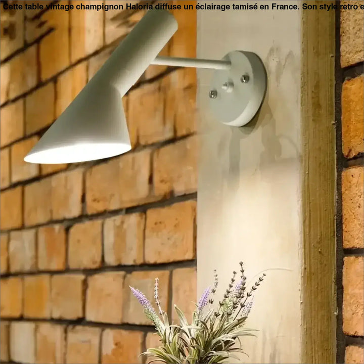 Applique murale eluna blanche minimaliste avec faisceau directionnel à bras métallique pour décoration intérieure élégante
