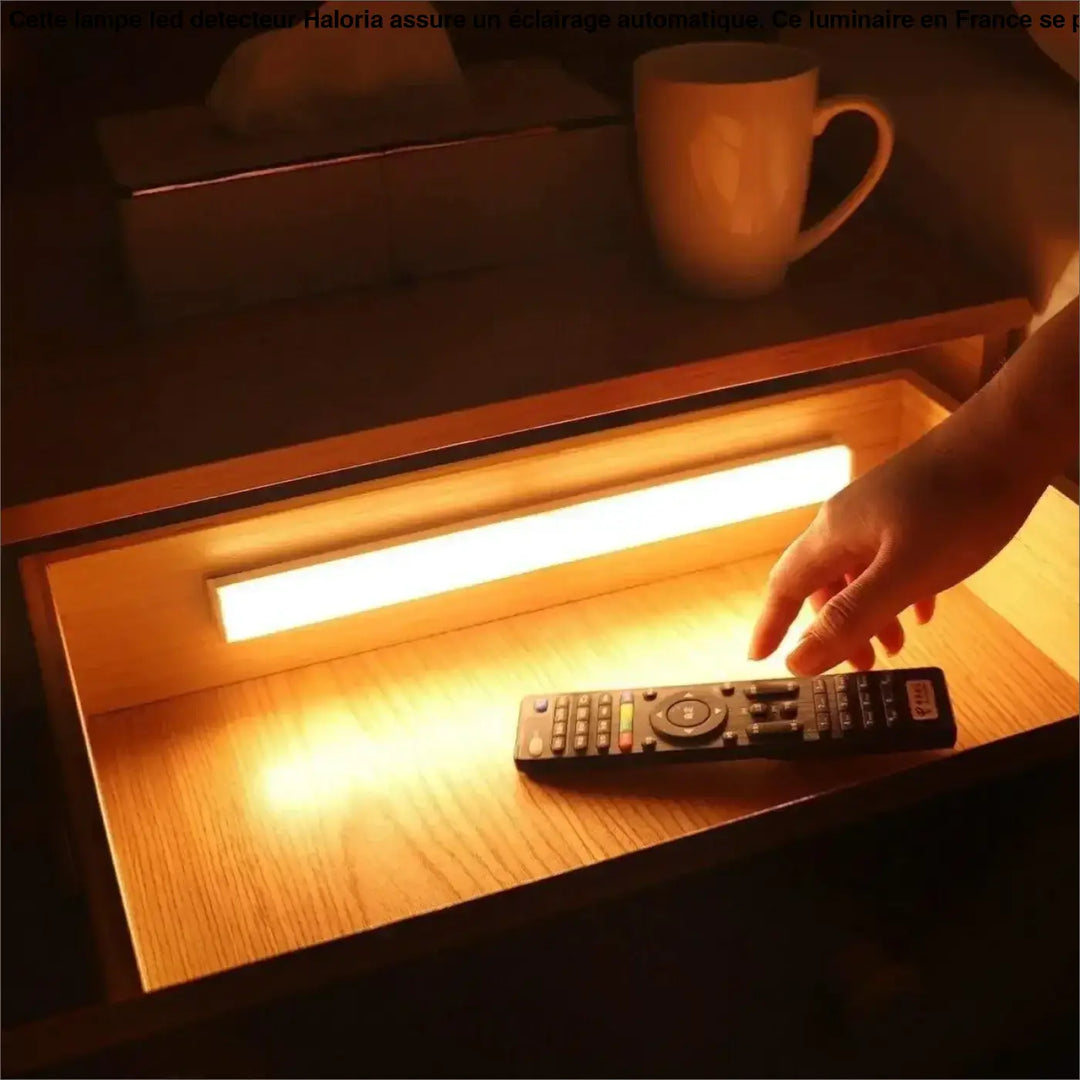 Lampe LED Détecteur de Mouvement pour Escalier
