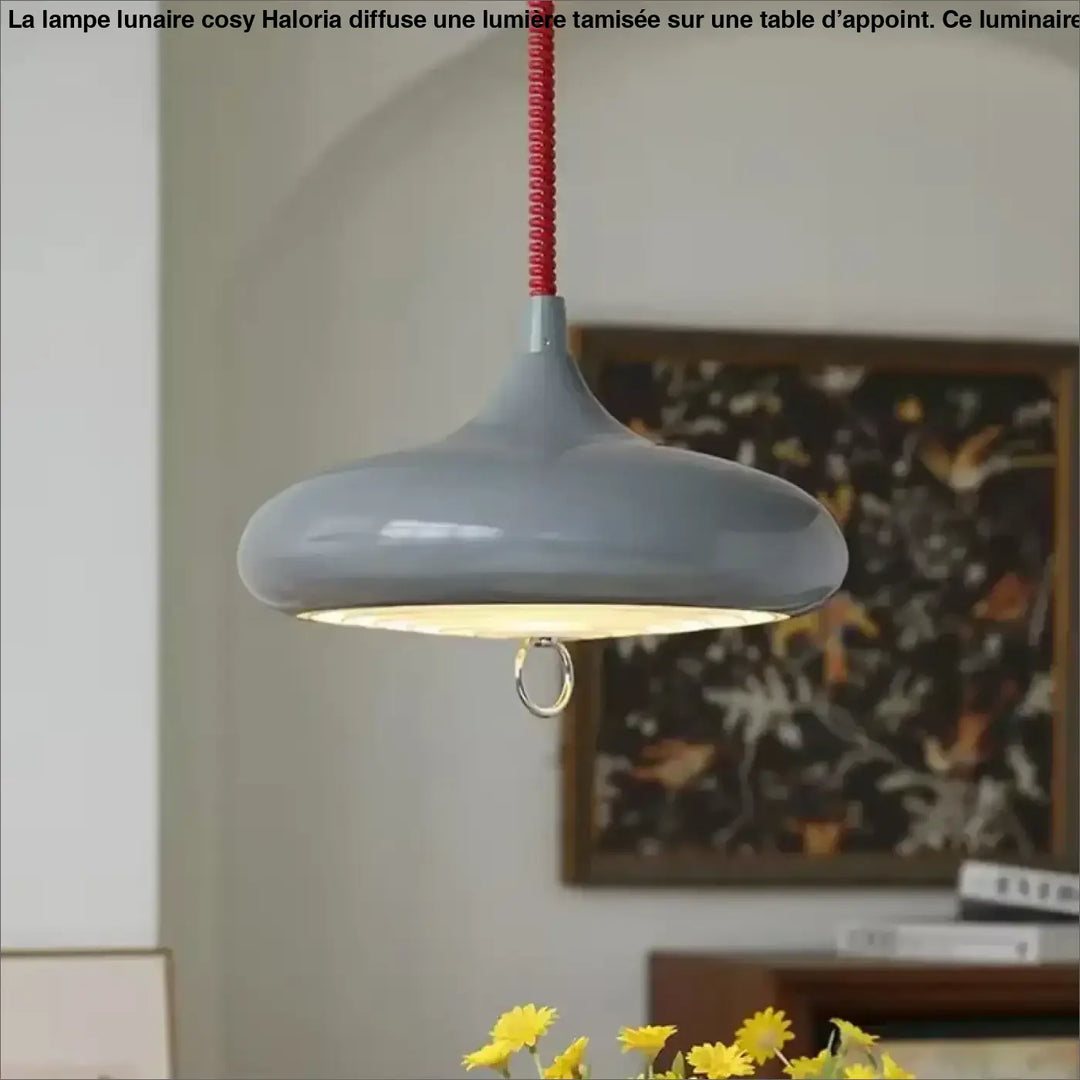 Suspension luminaire haus en céramique grise avec cordon rouge enroulé et anneau métallique pour un style vintage espace plus