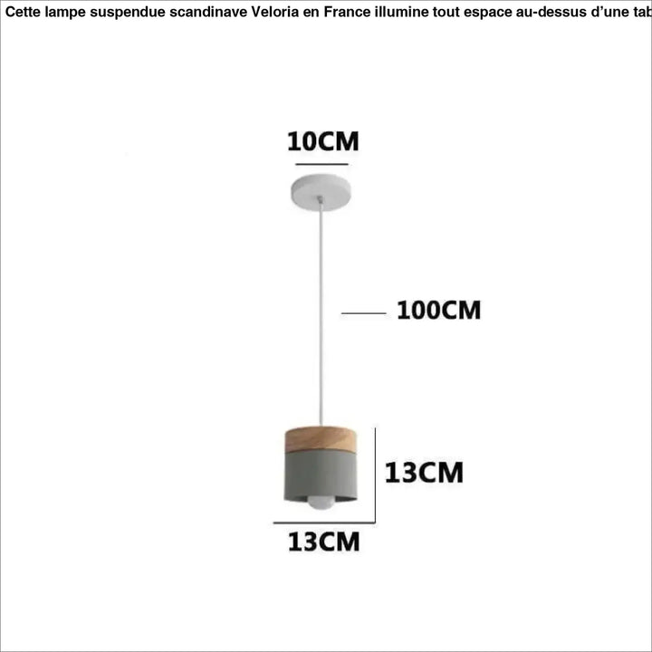 Lampe Suspendue Scandinave Élégante
