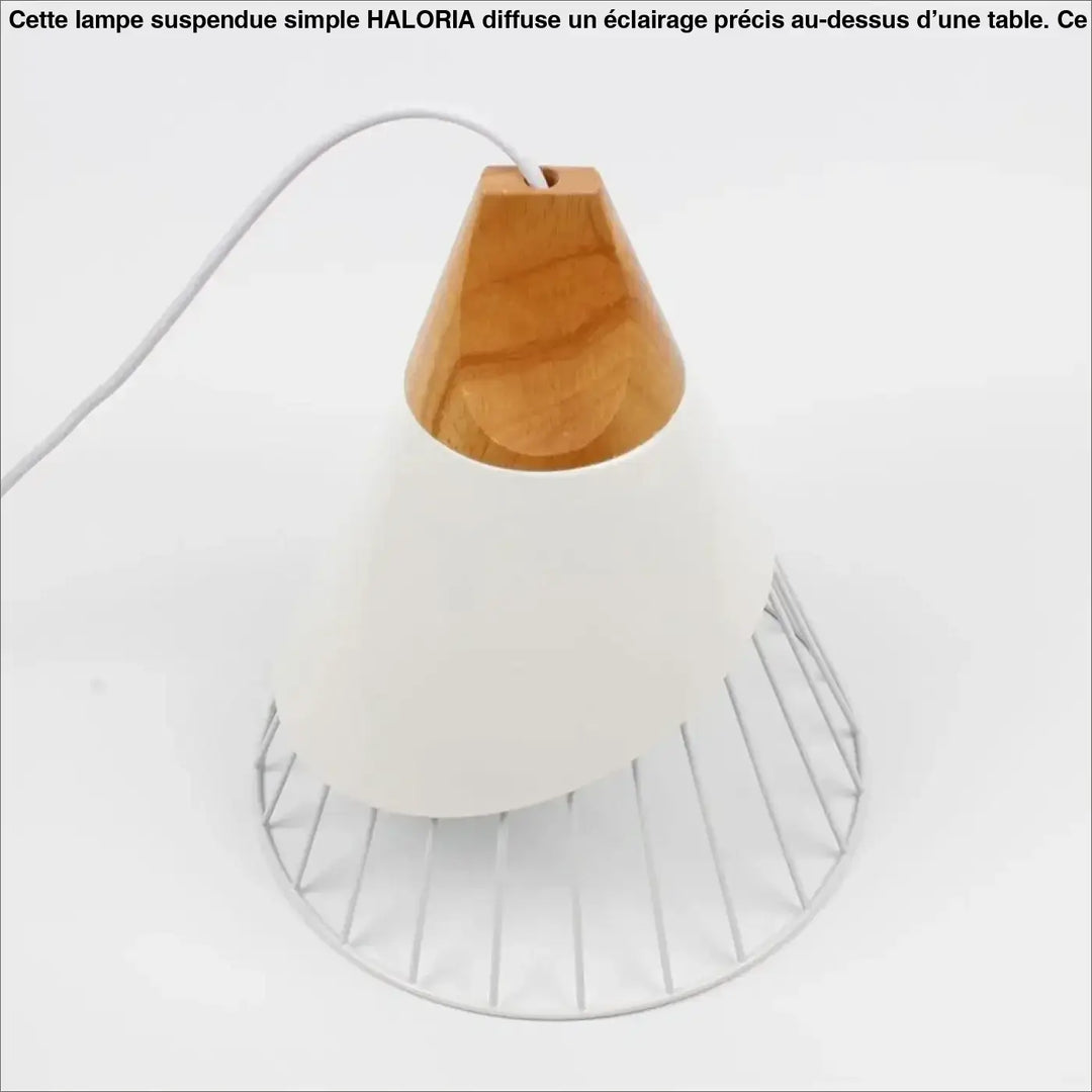 Lampe Suspendue Simple Cage Ajourée en Bois