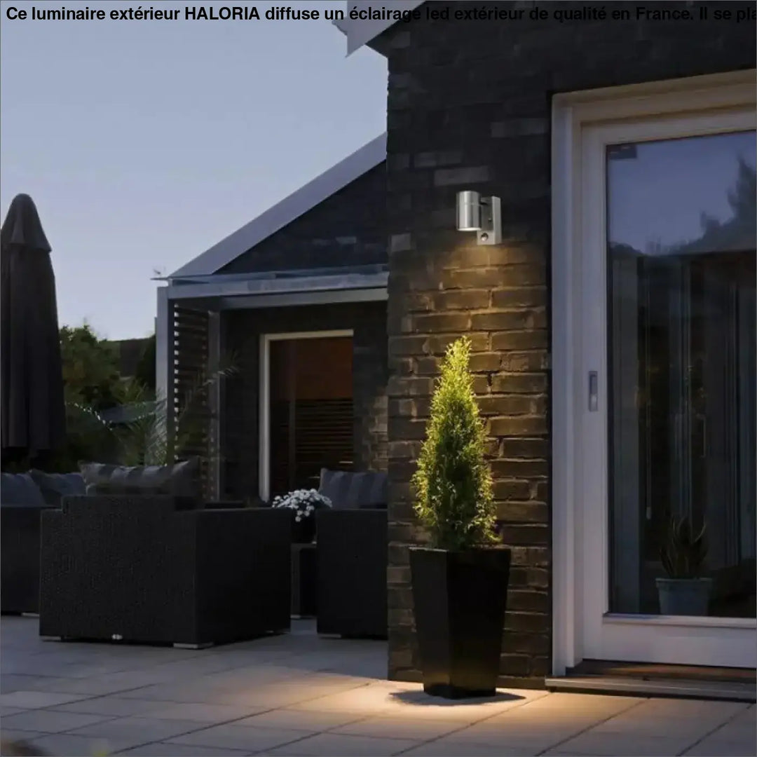 Luminaire à LED Extérieur Applique Faisceau Dirigé