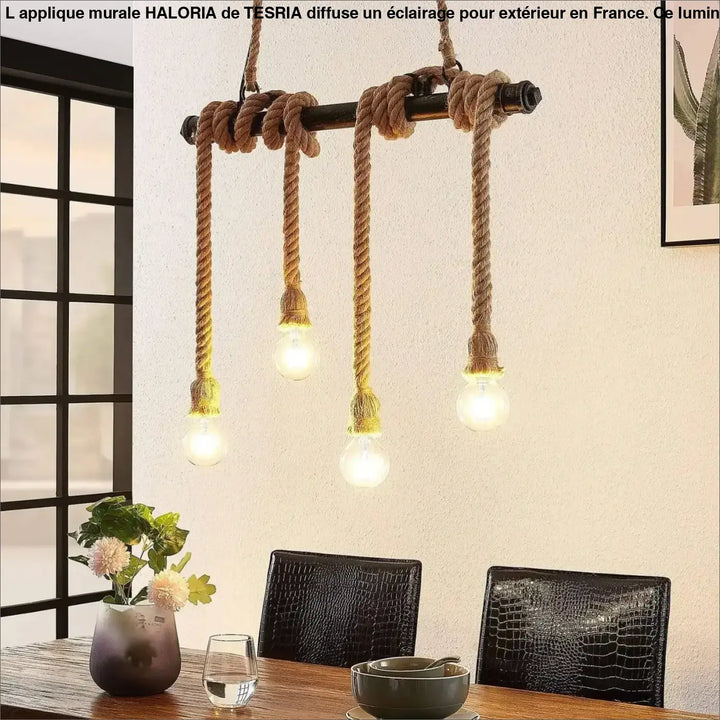 Luminaire exterieur applique haloria style industriel avec cadre en métal sombre et cordes épaisses idéal long d’un couloir
