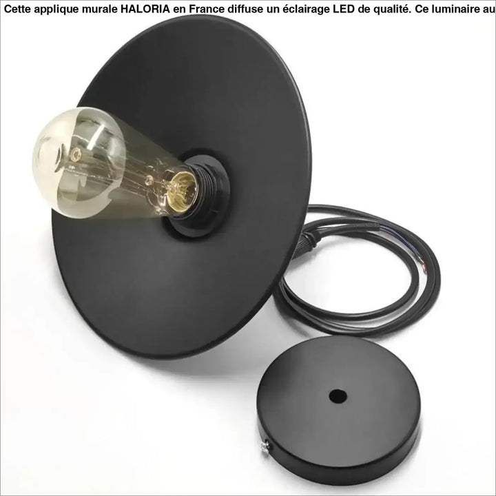 Applique murale industrielle noire mate haloria avec ampoule edison vintage idéale long d un couloir ou autour d un miroir