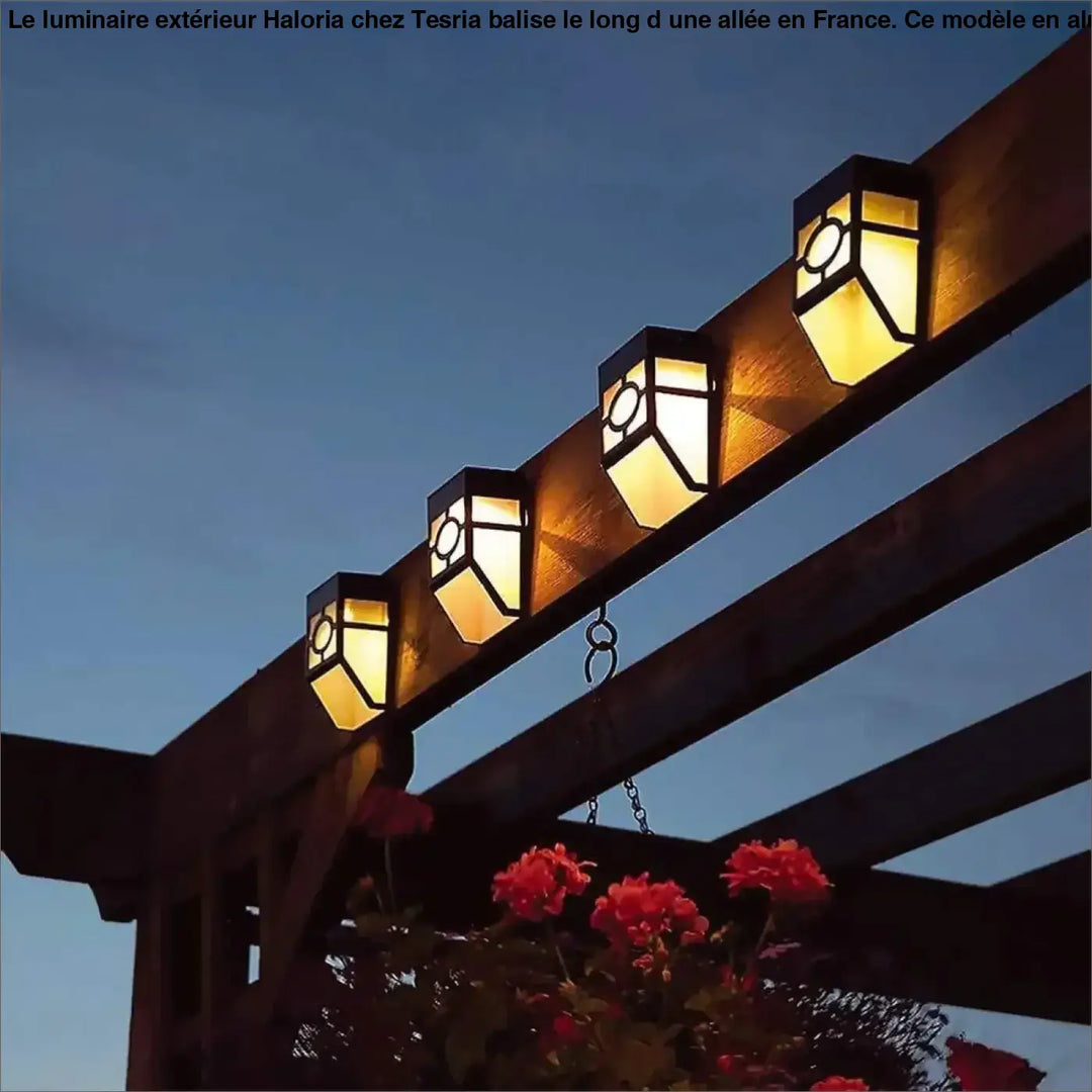 Luminaire Extérieur Pas Cher Applique Solaire LED