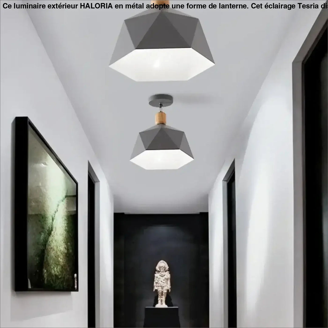 Luminaire plafonnier hexora gris géométrique avec accents en bois pour un plafonnier design aux lignes modernes