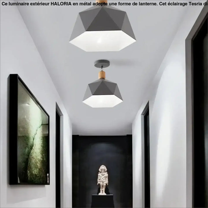 Luminaire plafonnier hexora gris géométrique avec accents en bois pour un plafonnier design aux lignes modernes