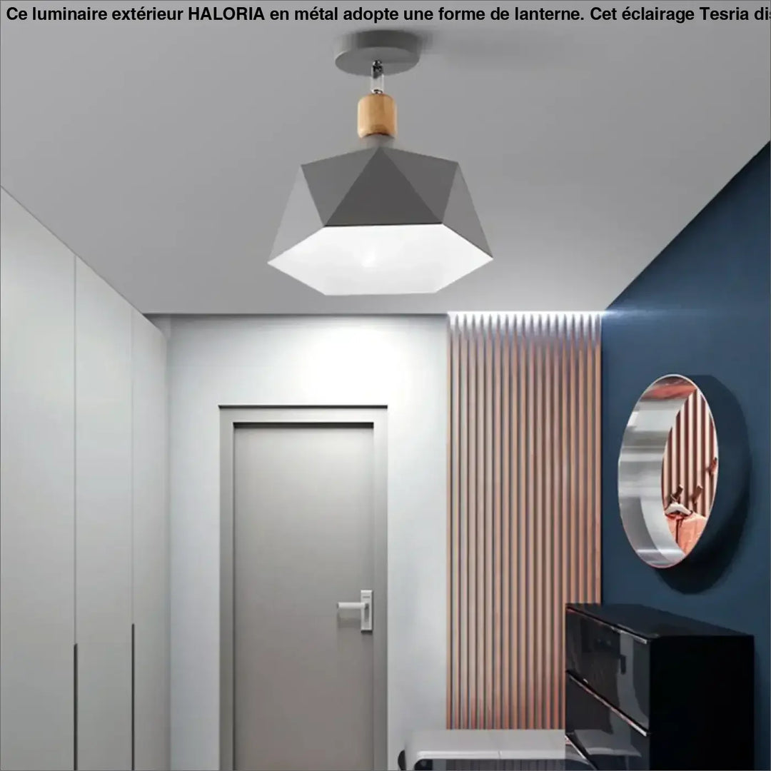 Luminaire plafonnier hexora design géométrique gris avec accent en bois pour un plafonnier design aux lignes modernes