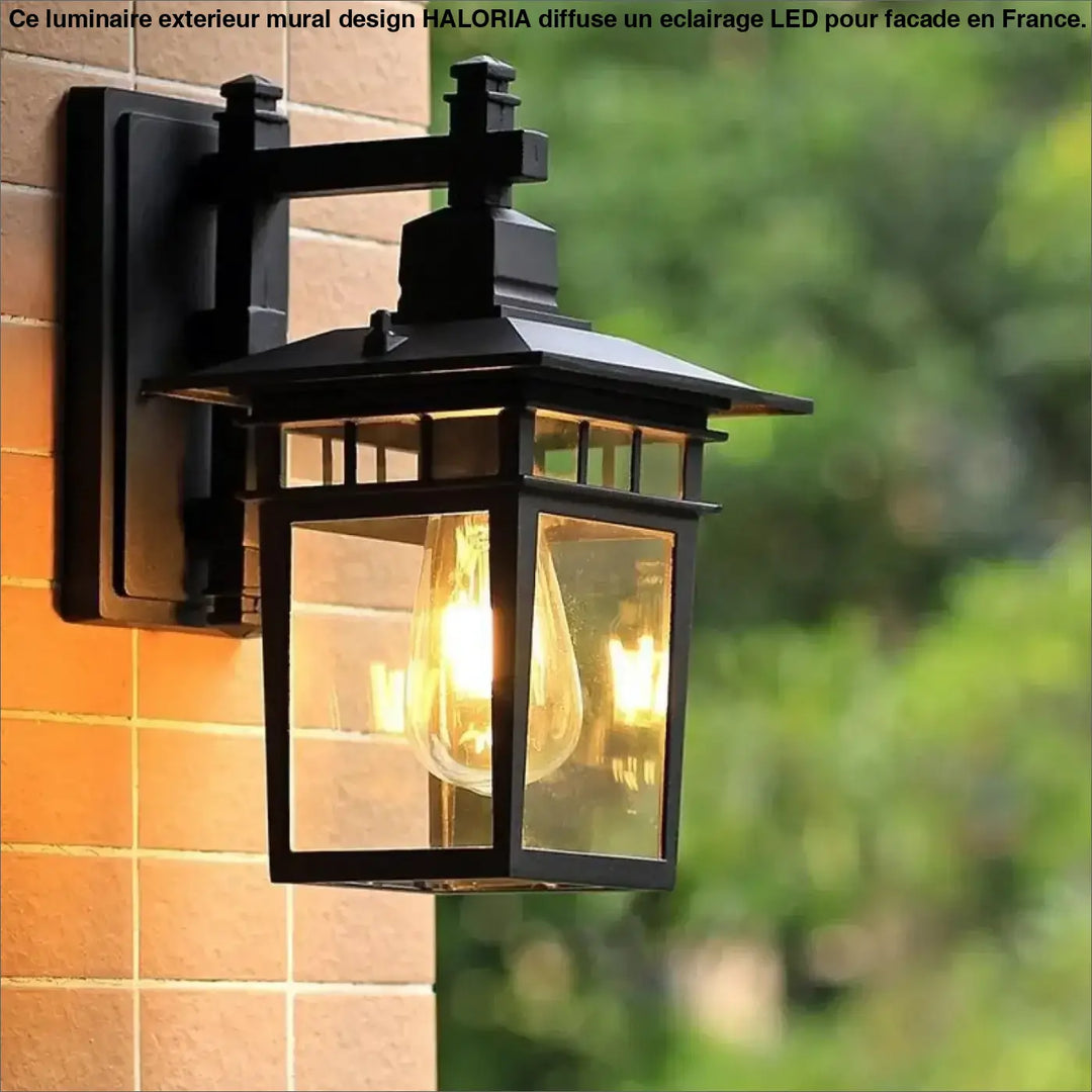 Luminaire exterieur mural haloria en fer forgé noir avec panneaux de verre clair et ampoules filament apparentes