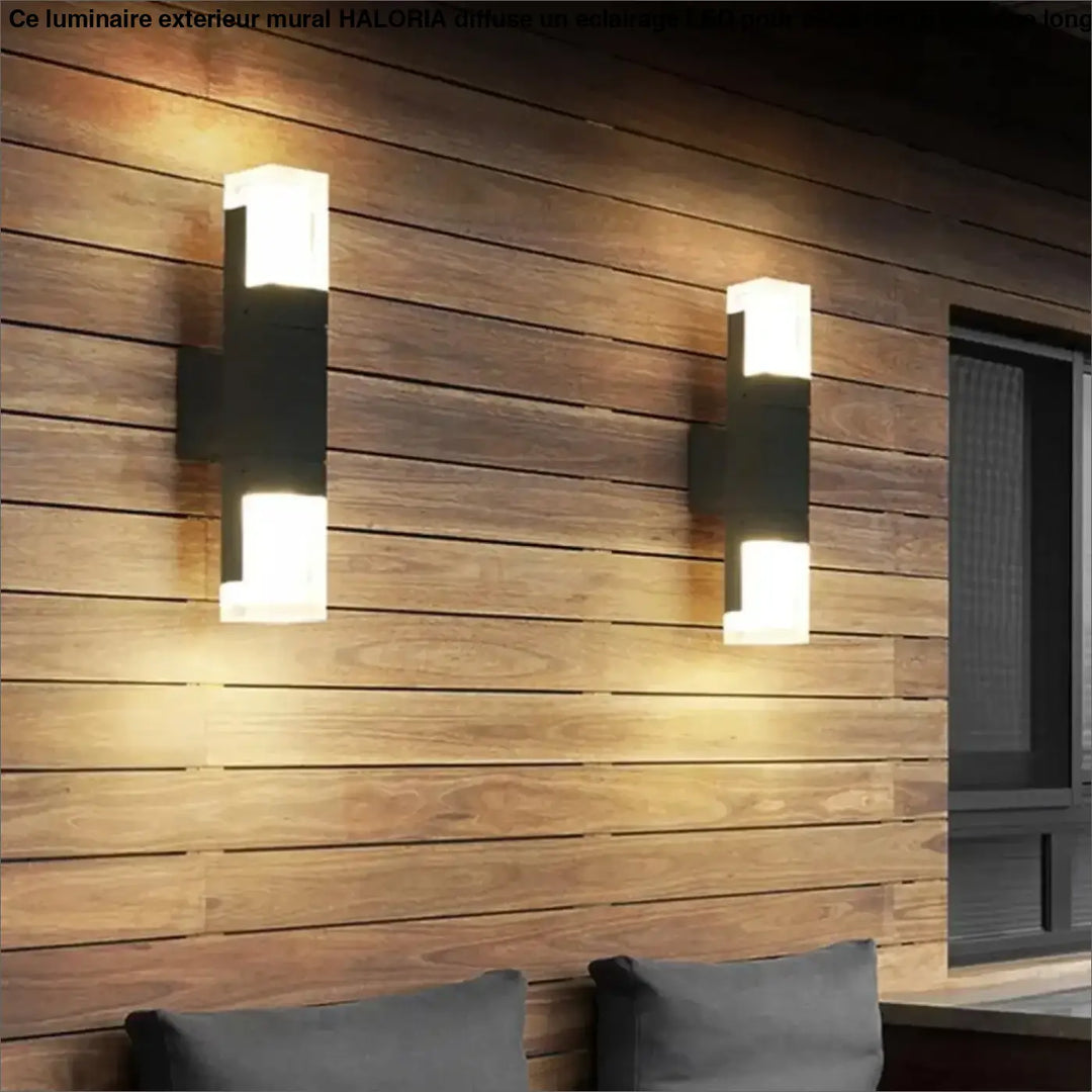 Luminaire Extérieur Mural Applique LED Étanche