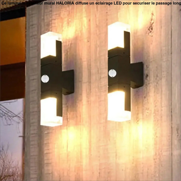 Luminaire Extérieur Mural Applique LED Étanche