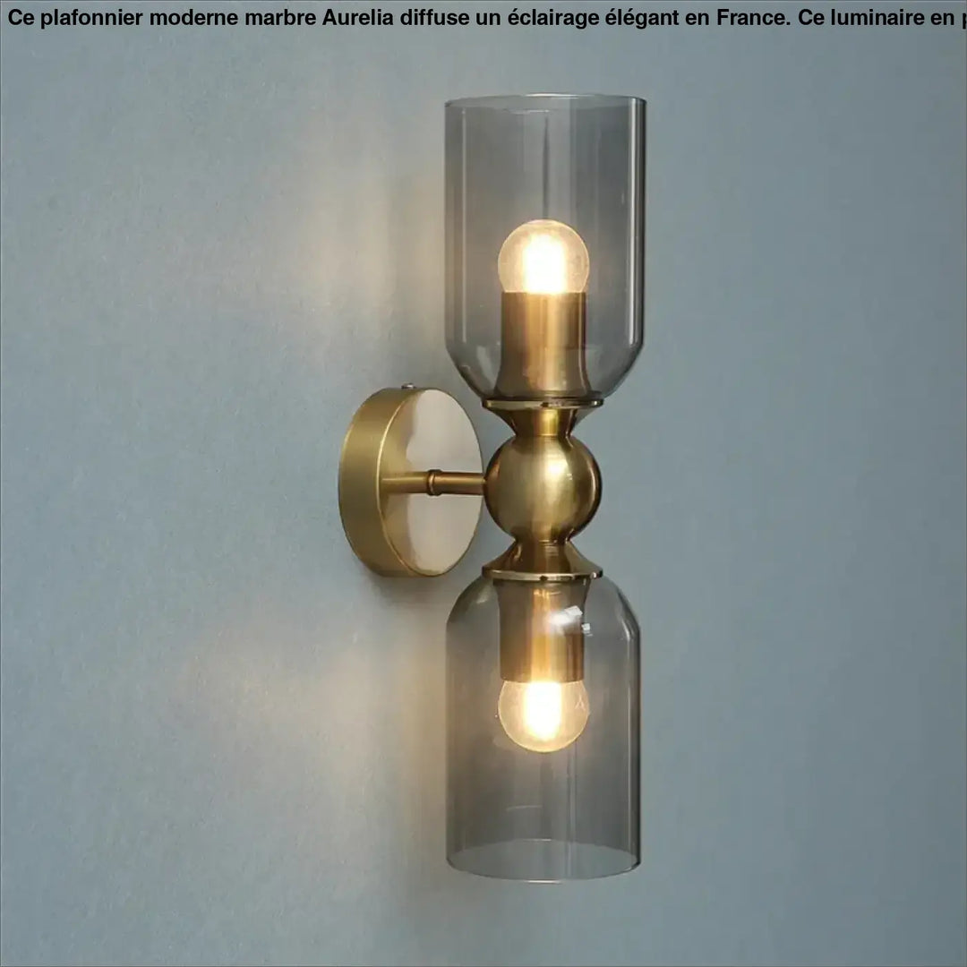 Applique murale trïnôr en laiton finition brillante avec deux abat-jours en verre fumé et culots de lampe exposés murale moderne
