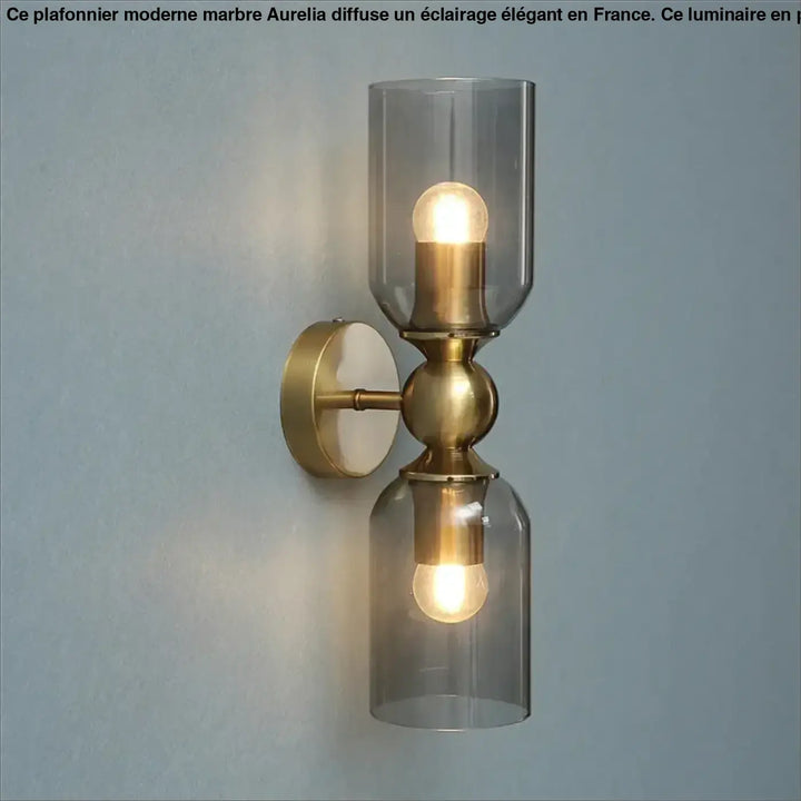 Applique murale trïnôr en laiton finition brillante avec deux abat-jours en verre fumé et culots de lampe exposés murale moderne